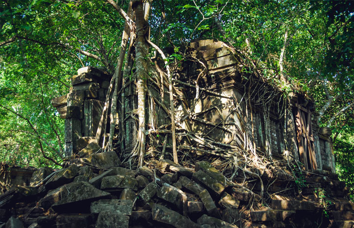 1 Day Beng Mealea Day Trip With Tuk Tuk