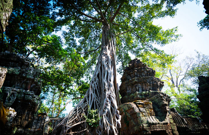 Siem Reap - Phnom Penh 5 Days / 4 Nights